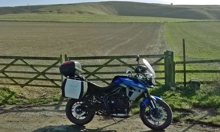 Tiger by the Uffington White Horse